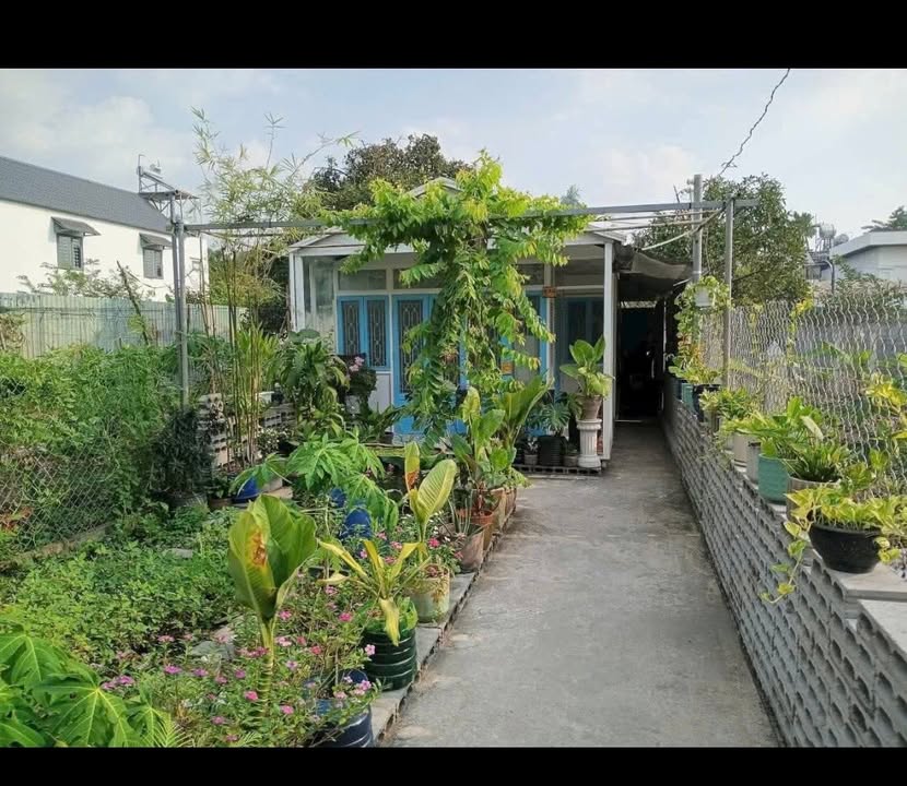 Nhà vườn Bình Nhâm, Lái Thiêu 146m² giá 3.35 tỷ - Không gian xanh mát giữa lòng phố!