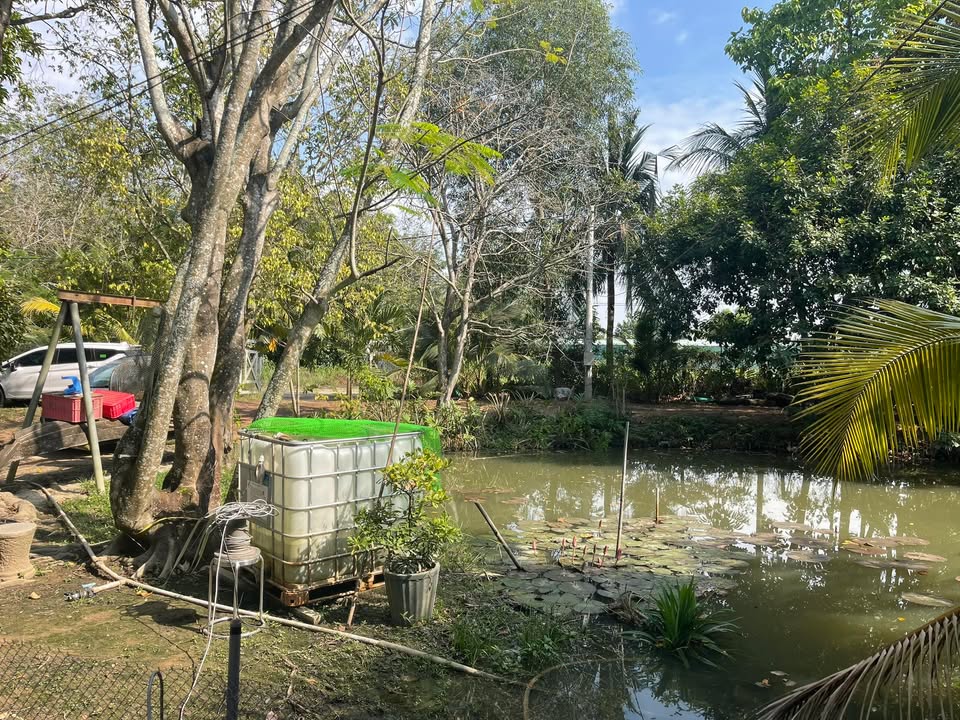 Đất nền 16 hecta mặt tiền đường bờ bao An Tây, Bến Cát giá 1,6 triệu/m² - Cơ hội đầu tư hấp dẫn!