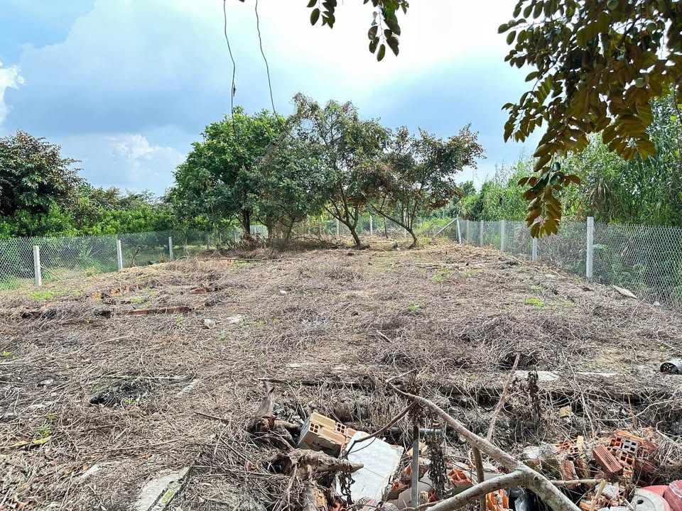 Đất nền nghỉ dưỡng Trường Long, Phong Điền 750m² giá 1.3 tỷ - Cơ hội đầu tư hấp dẫn!