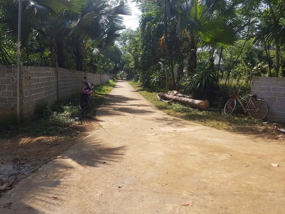 Đất thổ cư Quang Trung, Ngọc Lặc 166m² - Giá tốt cho mùa Tết!