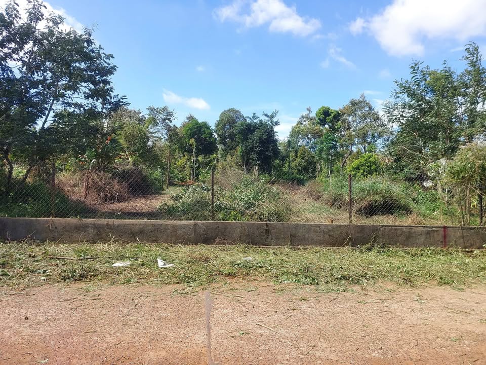 Đất nền Tân Lập, Buôn Ma Thuột 320m² giá 1,95 tỷ - Đầu tư sinh lời nhanh chóng!