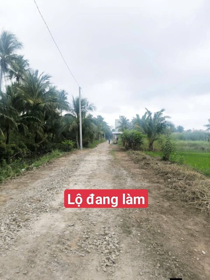 Đất ruộng 2000m² đường Nguyễn Gia Thiều, Rạch Sỏi, Kiên Giang - Cơ hội đầu tư hấp dẫn!