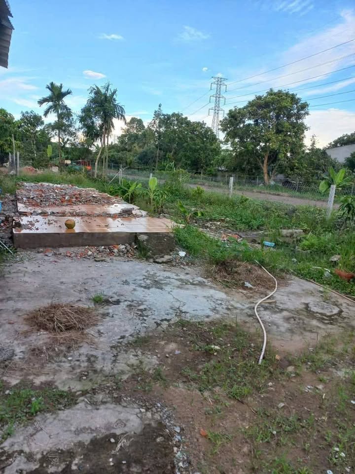 Đất nền Phường Tân Hạnh, Vĩnh Long 280m² giá 1.1 tỷ - Mặt tiền ô tô thuận lợi!