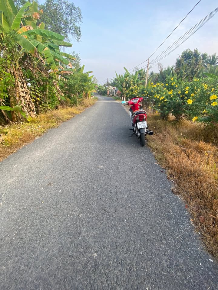 Đất nền mặt tiền lộ 8 tấn, phường Thanh Đức, 354m² - Cơ hội đầu tư lý tưởng!