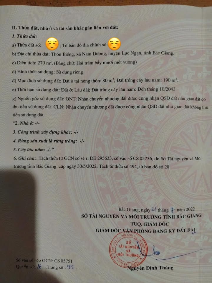 Đất nền thổ cư xã Nam Dương, Lục Ngạn 270m² - Giá tốt, vị trí đắc địa!