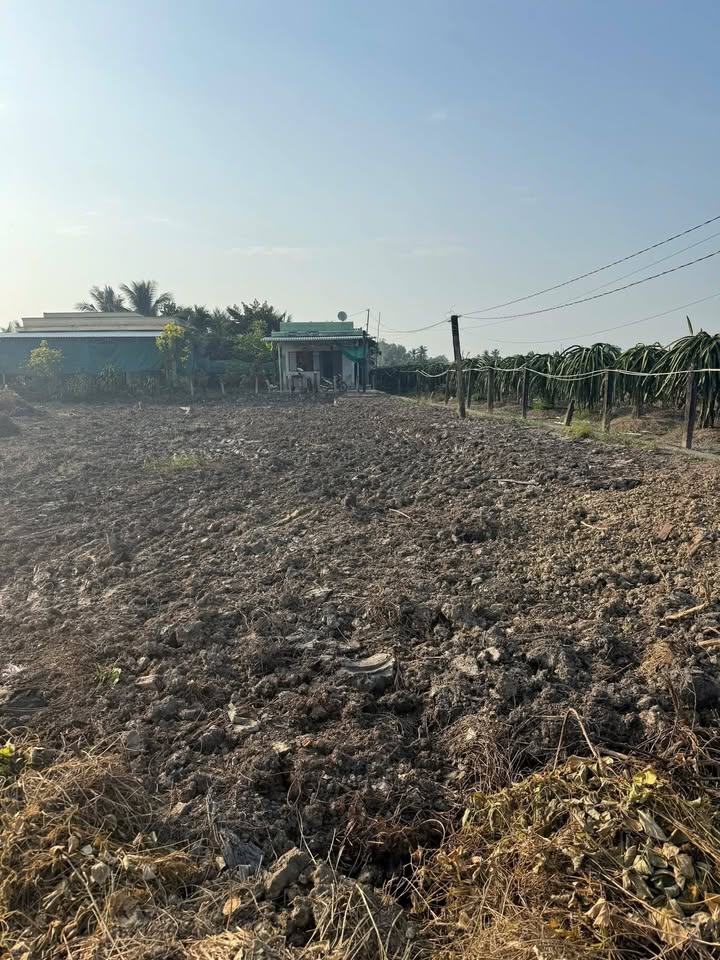 Đất thổ cư 1200m² tại xã Tầm Vu, Tây Ninh - Giá chỉ 890 triệu, xây dựng ngay!