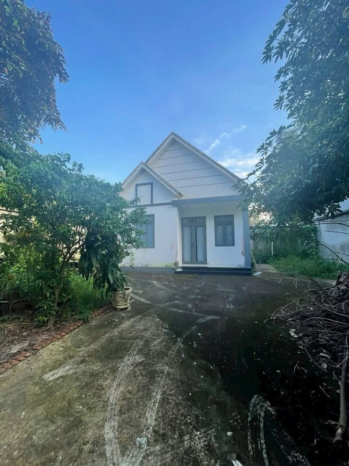 Nhà vườn ấp 5 An Phước 260m² giá 2.6 tỷ - Sổ hồng riêng, khu dân cư an ninh!