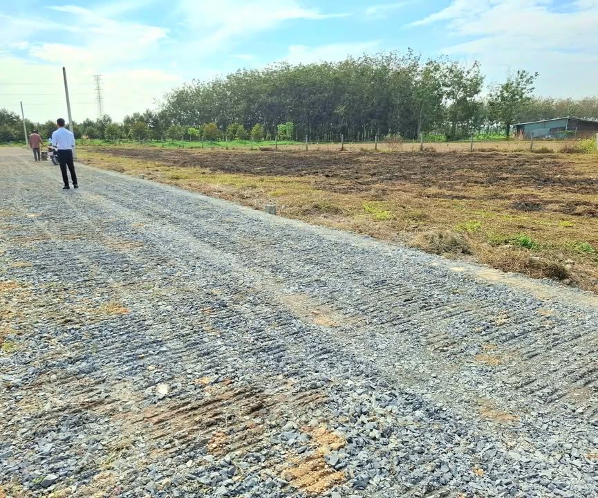 Đất nền Bàu Đồn Gò Dầu 160m² giá 350 triệu - Sổ đỏ chính chủ, đường ô tô rộng!