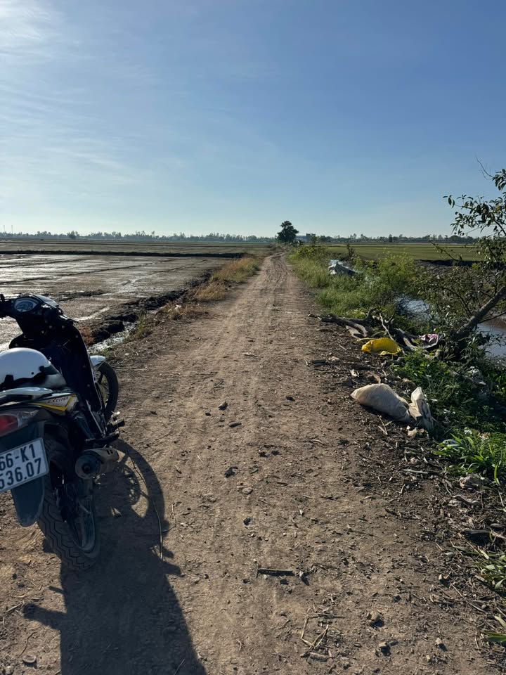 Đất ruộng 25 công Tân Công Sính Tam Nông 2.375 tỷ - Đầu tư sinh lời ngay!