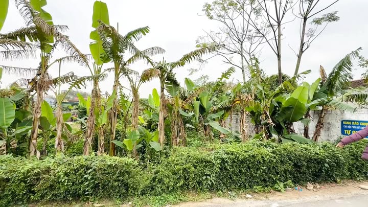 Đất thổ cư Hoằng Ngọc 411m² giá thỏa thuận - Cơ hội đầu tư tuyệt vời!