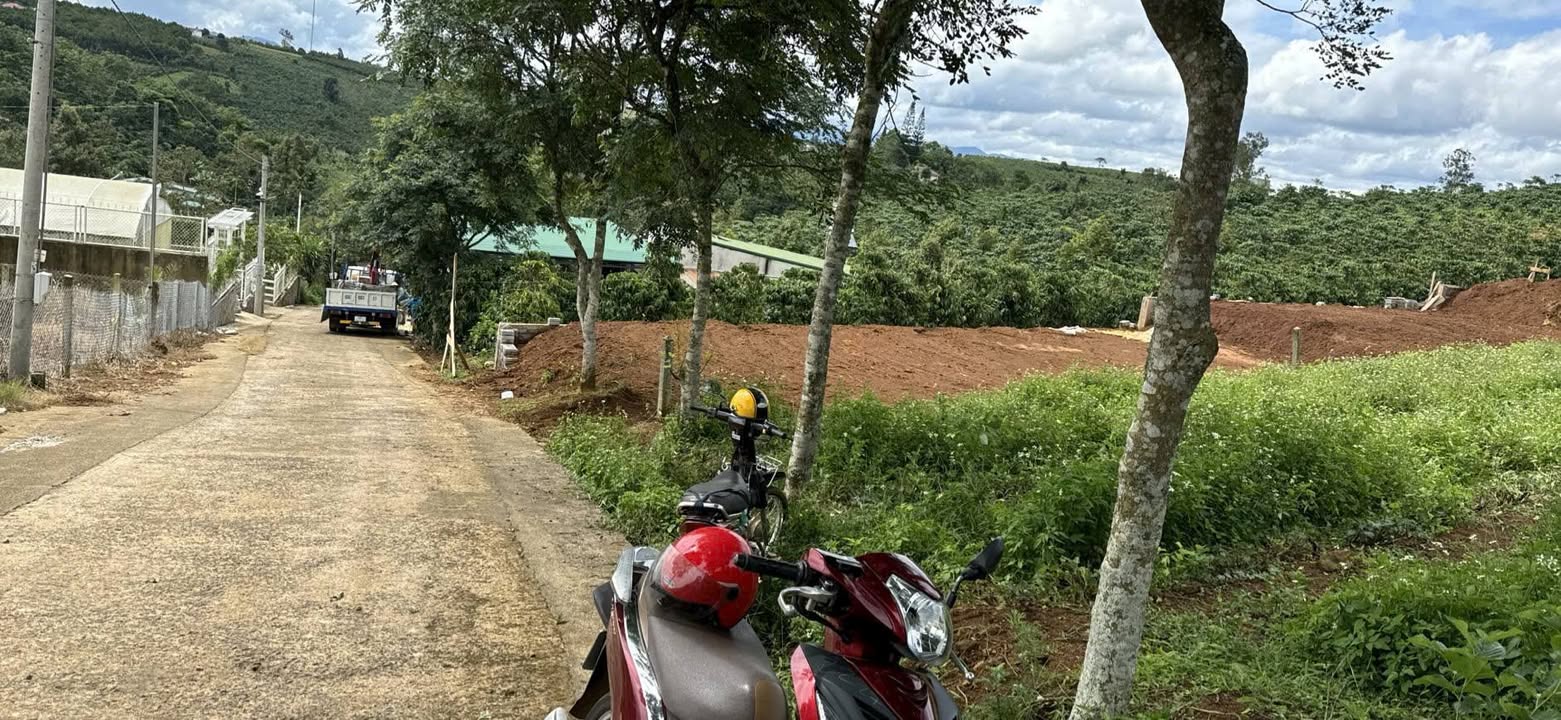 Đất thổ cư 2200m² đường Lý Thái Tổ, Bảo Lộc - View nghỉ dưỡng tuyệt đẹp!