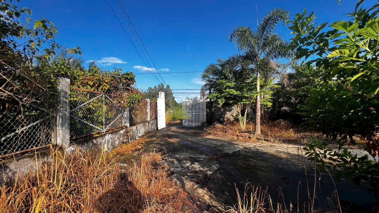 Nhà vườn Xuyên Mộc 1500m² giá 4.6 tỷ - Đường ô tô, sổ hồng chính chủ!