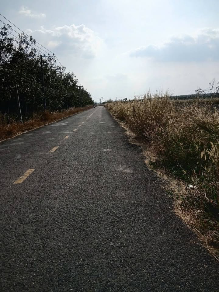 Đất nền Ninh Điền, Châu Thành, Tây Ninh 16200m² - Giá chỉ 5.175 tỷ VND, thương lượng nhẹ!