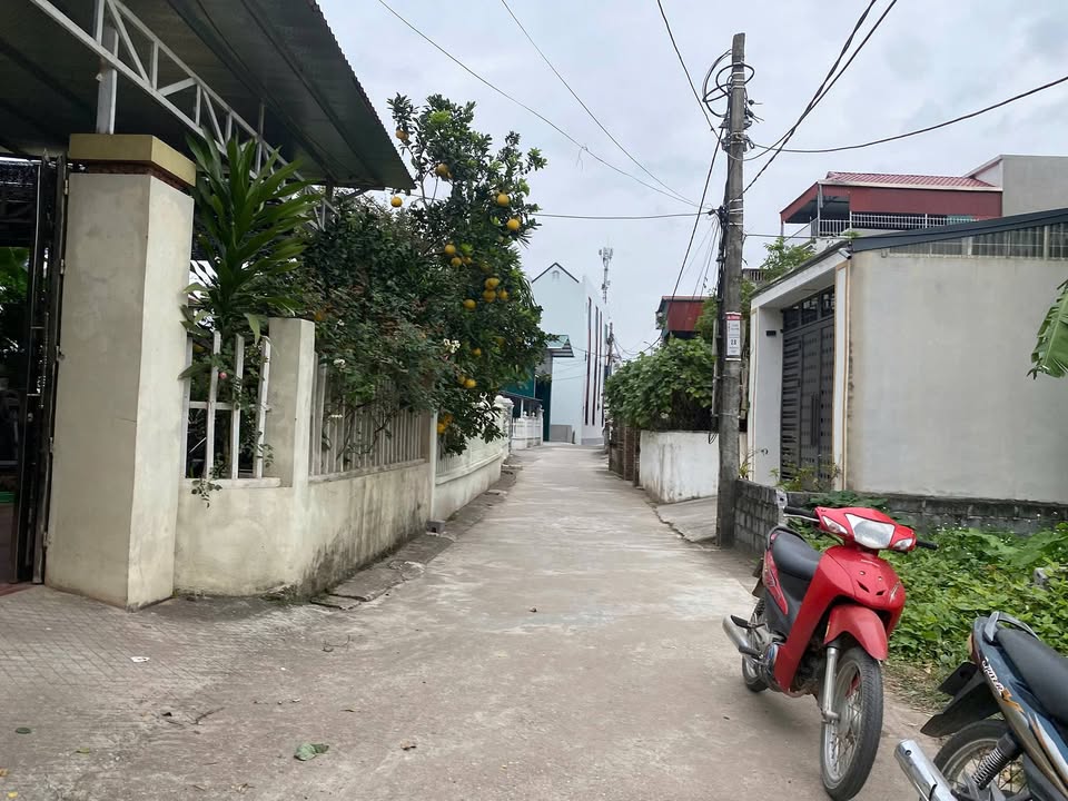 Đất nền phường Sơn Nam, Hưng Yên 94.5m² giá 2 tỷ - Đầu tư hiệu quả!