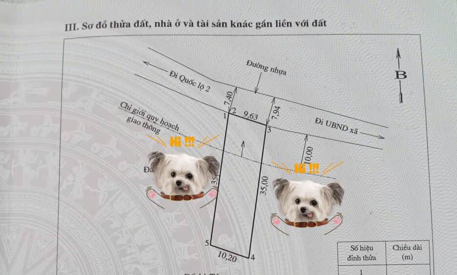 Đất nền Phường Bình Thuận Tuyên Quang 350m² - Vị trí thuận lợi gần trung tâm hành chính