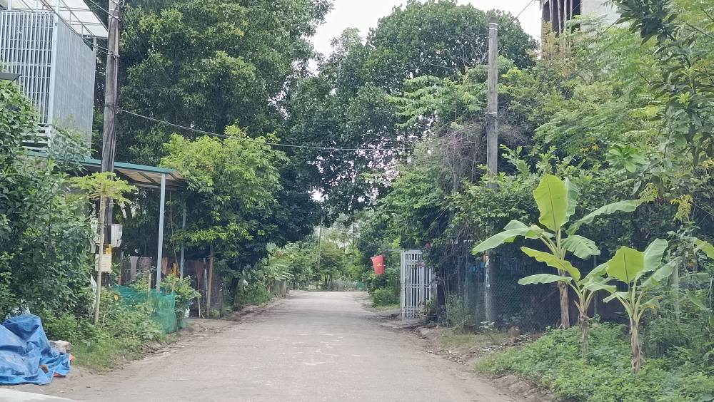 Đất phân lô Tổ 8 Phường Nông Tiến 100m² giá thỏa thuận - Tiềm năng đầu tư cao!