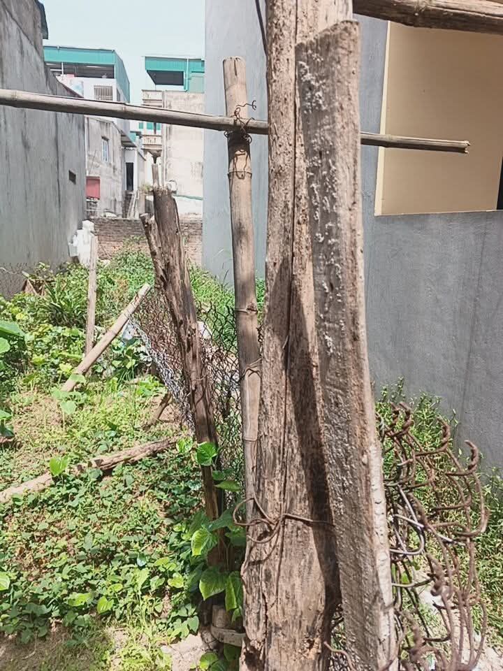 Đất Thượng Thanh Long Biên 52m² giá 4.35 tỷ - Sổ đỏ chính chủ, cách ô tô 20m!