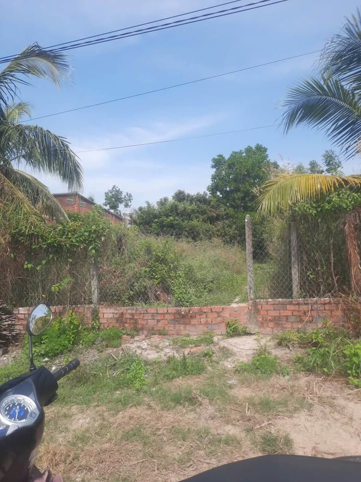 Đất thổ cư Trường Lưu, Trường Đông, Hòa Thành 500m² giá 9 tỷ - Cần bán gấp!