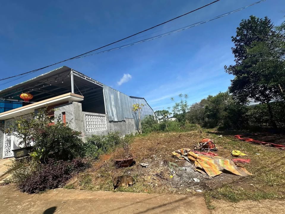 Đất nền Nghĩa Phú, Gia Nghĩa 270m² giá 1.15 tỷ - Đầu tư sinh lời ngay!