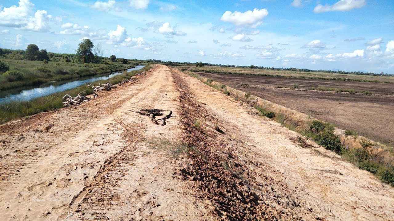 Đất cho thuê dài hạn tại Bình Sơn, An Giang 1000m² - Giá chỉ 24 triệu/tháng!