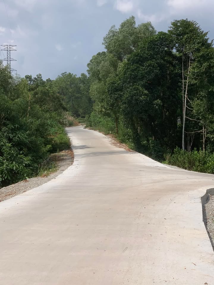 Farm Thủy Bằng - Huế 6500m² giá thỏa thuận - Đầu tư sinh lời hấp dẫn!