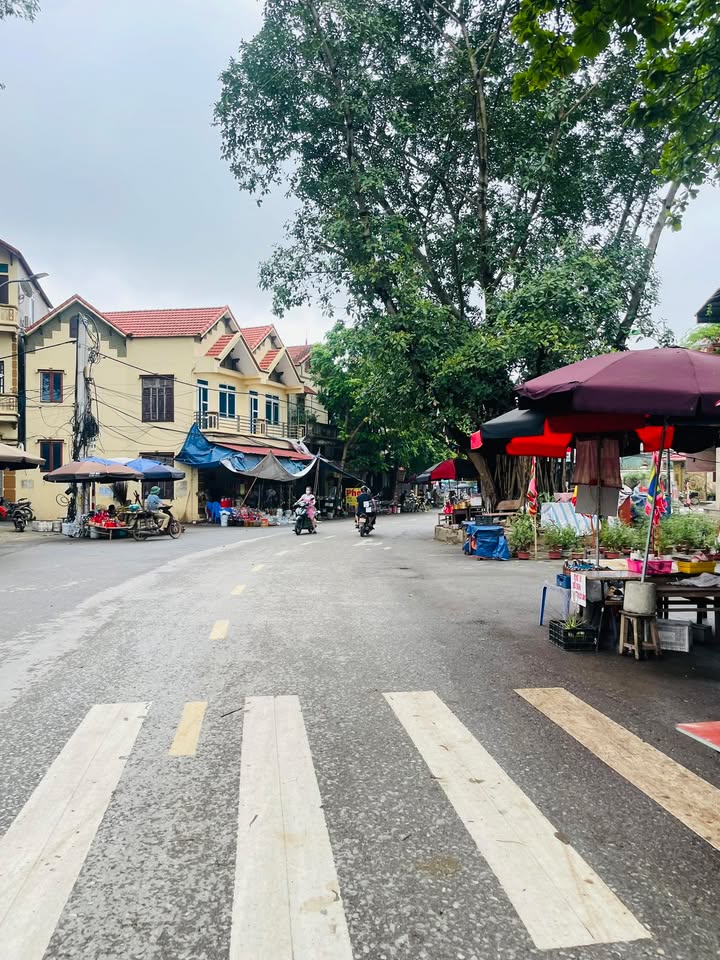 Đất nền lô góc Đường Lâm, Sơn Tây 70m² - Giá đầu tư hấp dẫn!