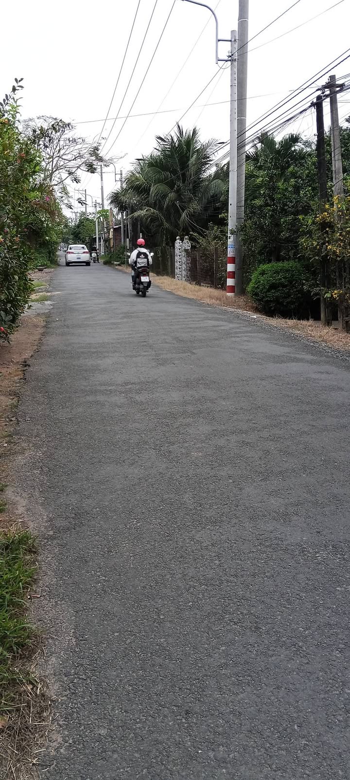 Đất vườn Giao Long, Bến Tre 700m² giá 450 triệu - Cơ hội đầu tư tuyệt vời!