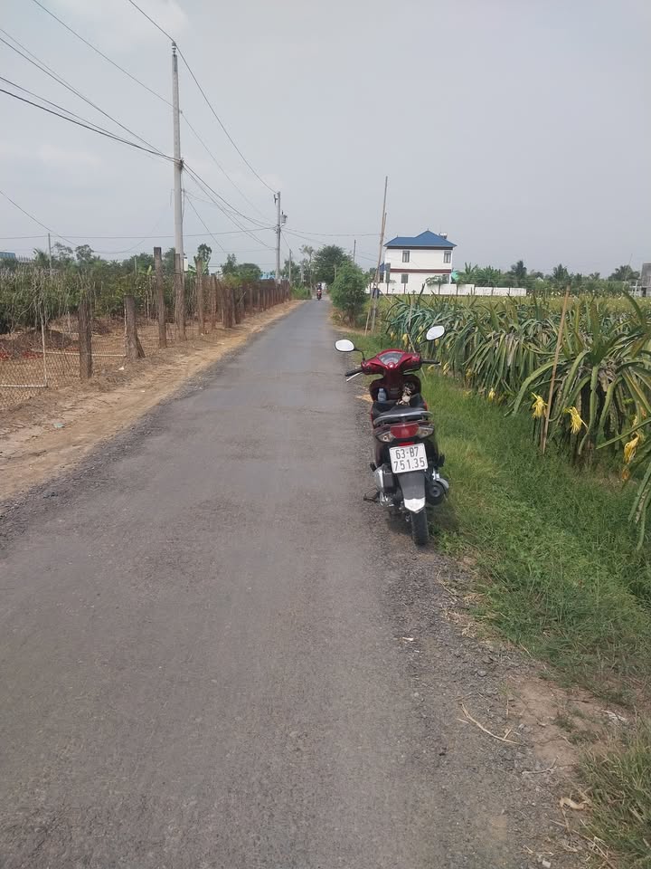 Đất nền xã Gia Thuận, Gò Công Đông 400m² giá 799 triệu - Cơ hội đầu tư hiếm có!