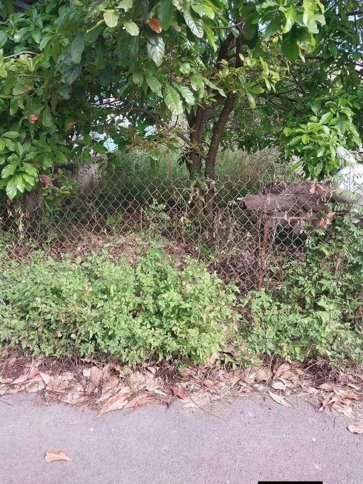 Đất thổ cư Trị An, Vĩnh Cửu 60m² giá 650 triệu - Mặt tiền nhựa, gần chợ và trường học!