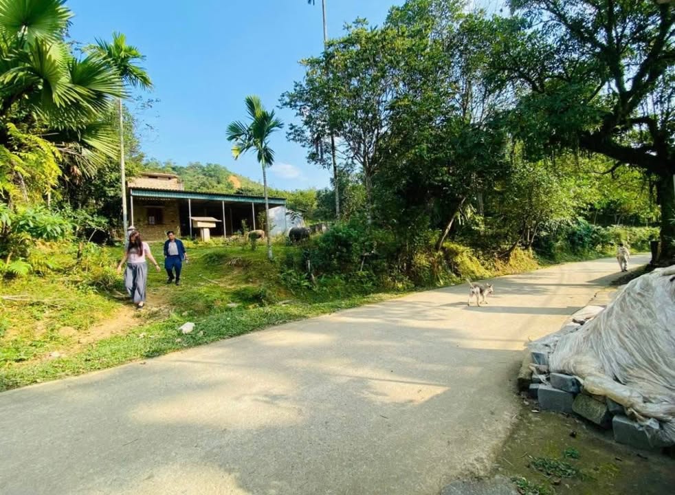 Lô đất nghỉ dưỡng Kim Lập, Kim Bôi 1.8ha giá chỉ 4 tỷ - Cơ hội đầu tư hấp dẫn!