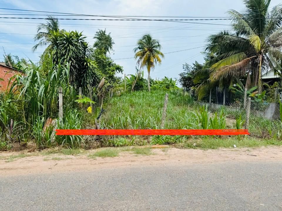 Đất nền Cầu Khởi Dương Minh Châu Tây Ninh 60m² giá 399 triệu - Đầu tư sinh lời ngay!