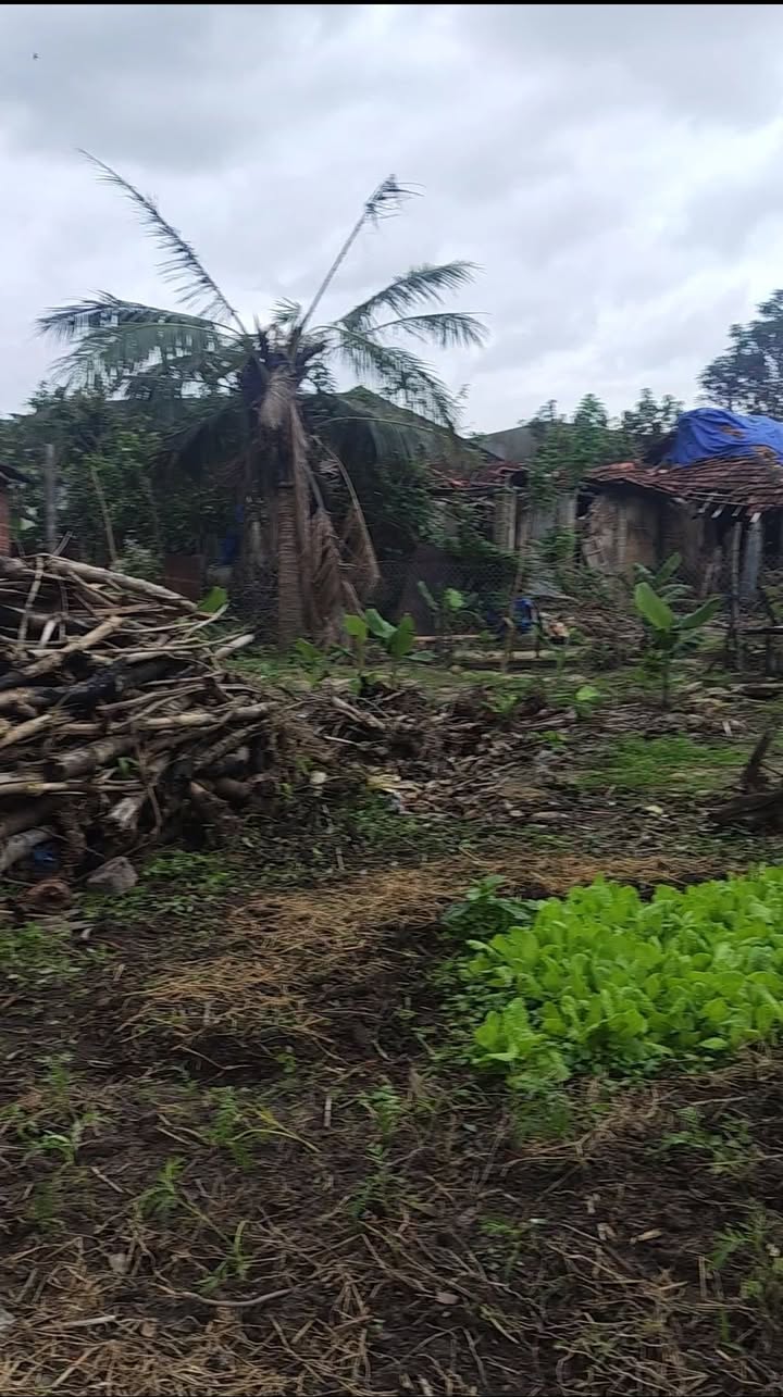 Đất nền 90m² xã Phước An, huyện Tuy Phước giá chỉ 400 triệu - Đầu tư sinh lợi ngay!