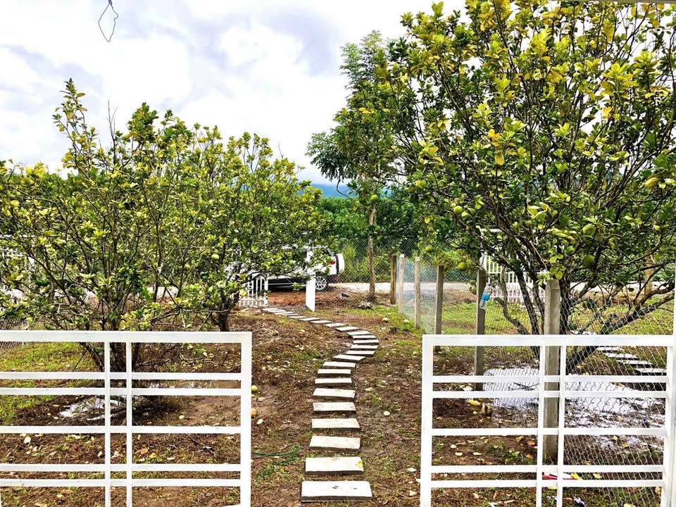 Đất nền Khánh Đông 224m² giá chỉ 490 triệu - Cơ hội đầu tư tuyệt vời!