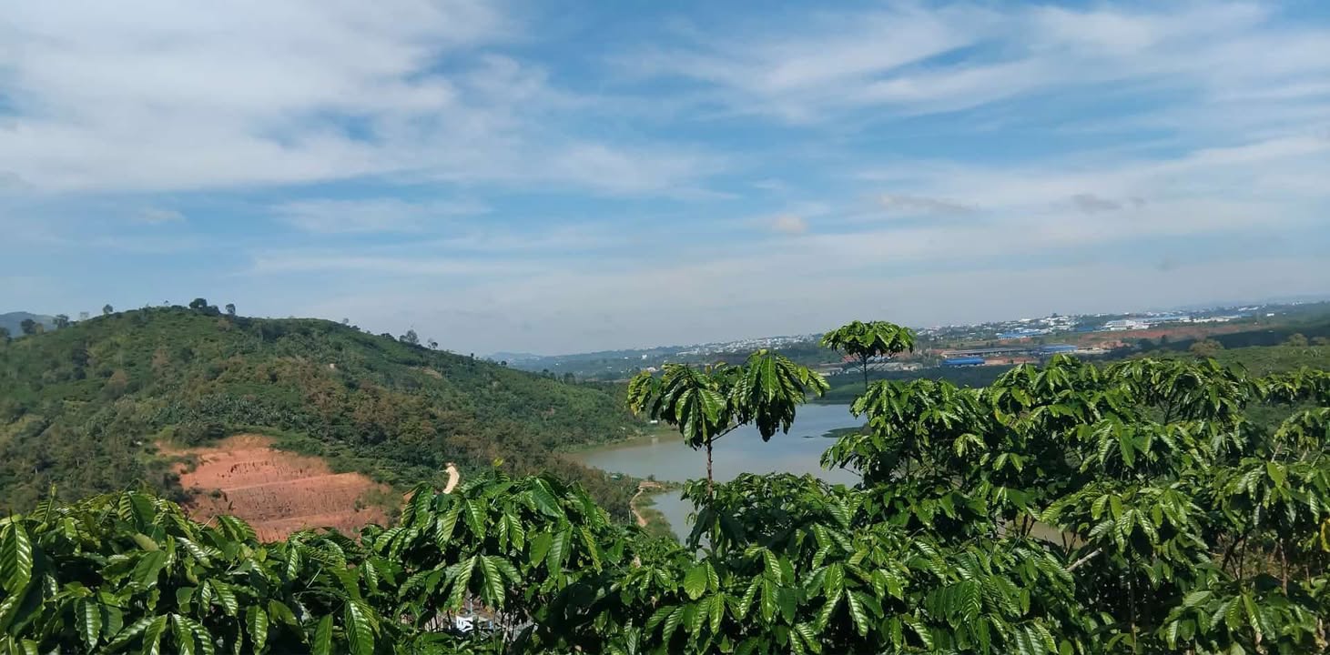 Đất nền Lộc Nga Bảo Lộc 10000m² giá 800 triệu - Nằm ngay mặt tiền đường Trần Quang Khải!