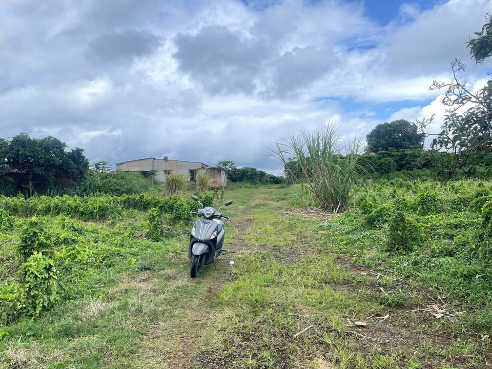 Đất thổ cư 2.6ha tại Lộc An, Bảo Lâm, Lâm Đồng giá 18.98 tỷ - Đầu tư sinh lời ngay!