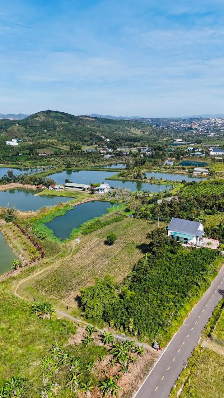 Đất Phường 3 Bảo Lộc 9003m² giá 7.5 tỷ - Phù hợp đầu tư nghỉ dưỡng!