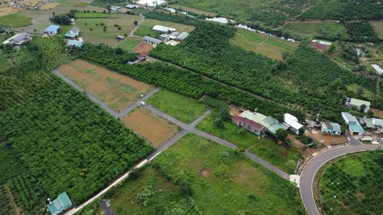 Đất nền Thôn 14 Đạm Bri 4000m² giá 7.5 tỷ - Sổ đỏ chính chủ, 3 mặt tiền lớn!