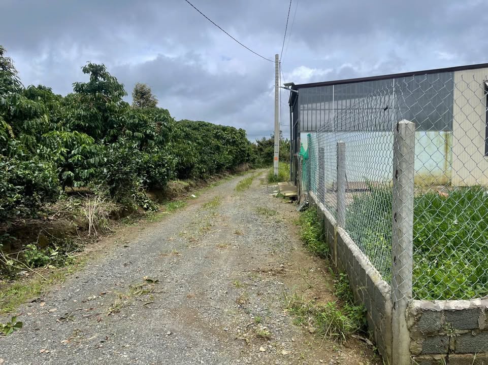 Đất Lộc Châu Bảo Lộc 500m² giá 1.75 tỷ - Đường ô tô vào tận nơi!