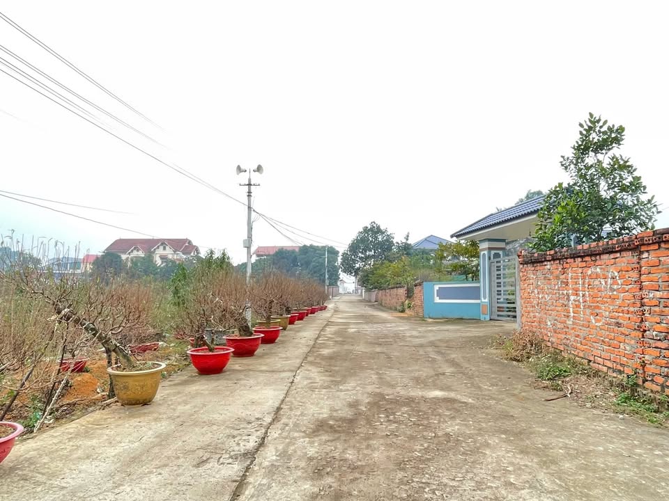 Đất thổ cư 127,5m² tại khu 5 Hy Cương - Hướng Đông, giá chỉ 1 tỷ!