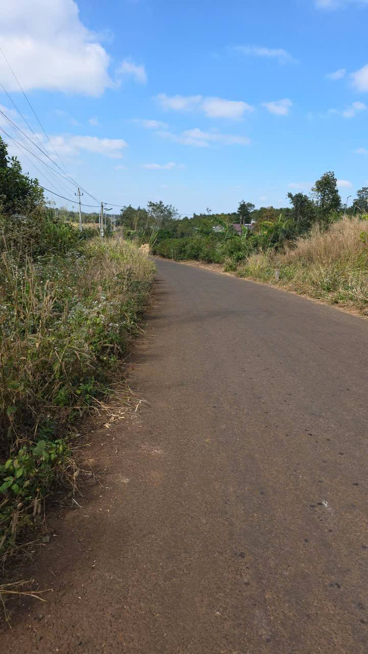 Đất mặt tiền đường Km65, xã Cư Pơng, Đắk Lắk 4205m² - Giá 450 triệu, sổ đỏ chính chủ!