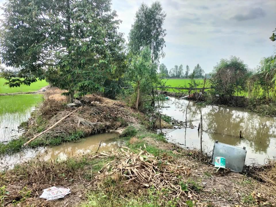 Đất ruộng 14.544m² tại Vĩnh Trạch, Thoại Sơn giá chỉ 1.454 tỷ - Phù hợp canh tác và làm vườn!