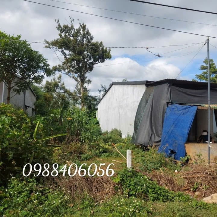 Đất nền Ea Tiêu 210m² giá chỉ 550 triệu - Cơ hội đầu tư tuyệt vời!