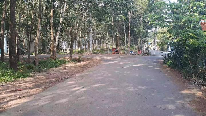 Đất nền phường Bến Cát 316m² giá 2.4 tỷ - Lô góc thổ cư 120m2