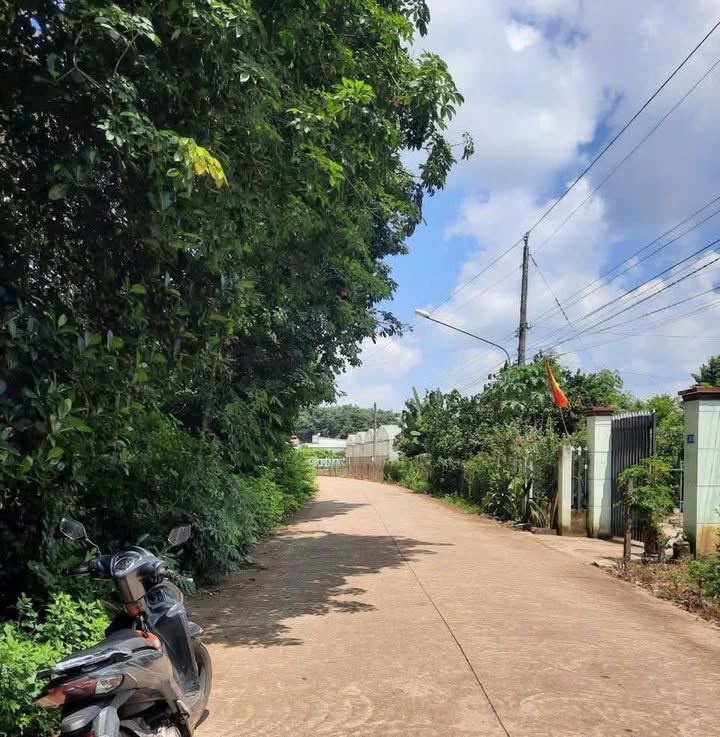 Đất nền An Bình, Phú Giáo 770m² giá 1.45 tỷ - Cơ hội đầu tư tuyệt vời!