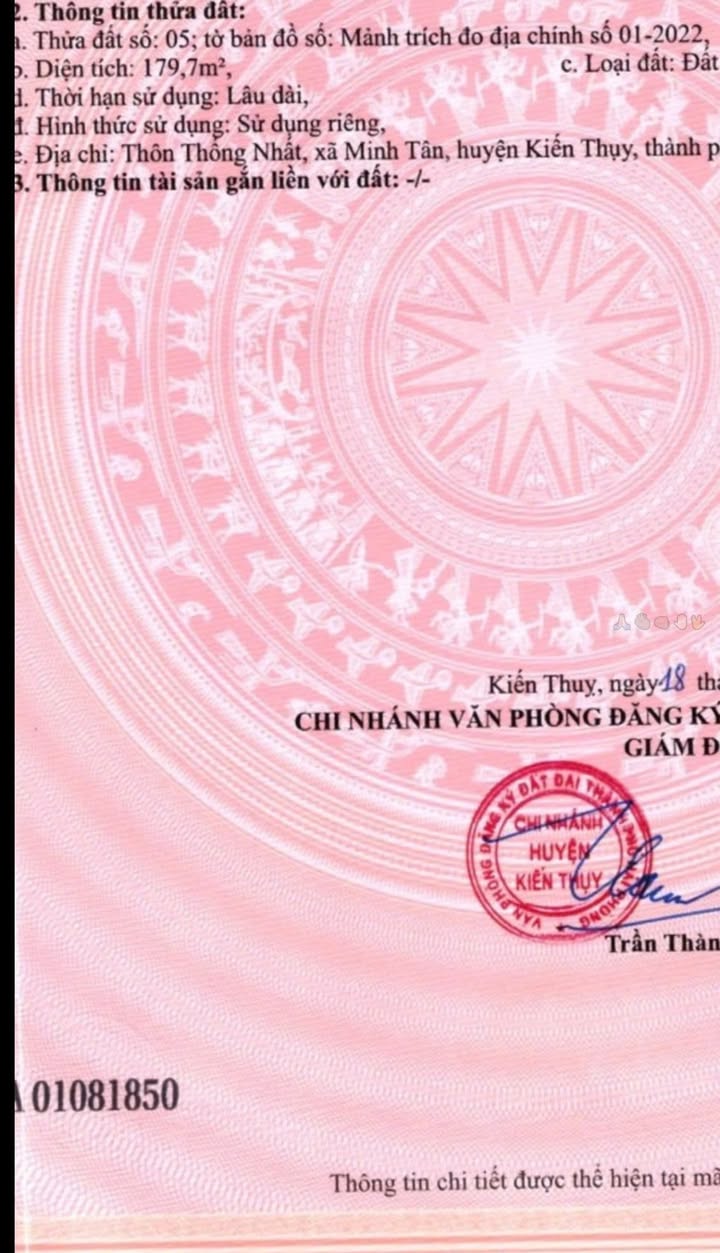 Đất nền Minh Tân Kiến Thụy 179.7m² giá 2.695 tỷ - Đầu tư sinh lời ngay!