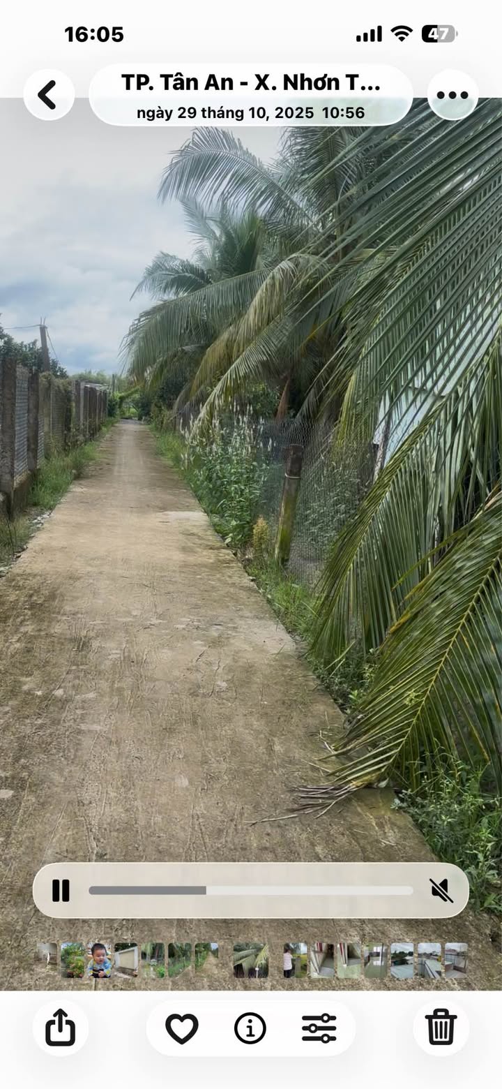 Đất lúa 4 công Nhơn Thạnh Trung, Tân An - Đầu tư lâu dài, giá chỉ 2.6 tỷ!