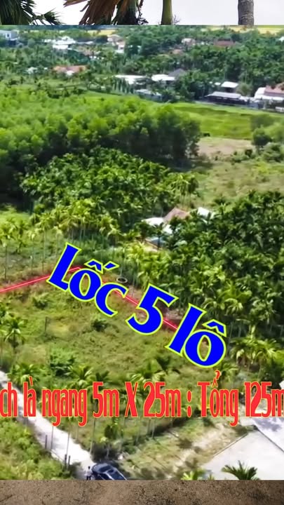 Bán đất tại xã Nghĩa Giang, Quảng Ngãi - Giá chỉ 200 triệu!