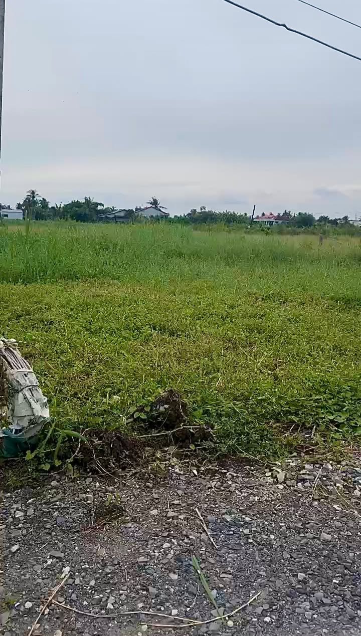 Đất nền thổ cư 100m² tại xã Phú Thành, Đồng Tháp - Giá chỉ 320 triệu!