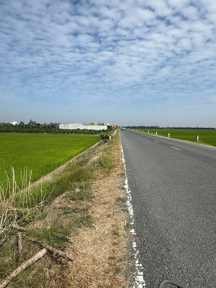 Đất trồng lúa mặt tiền tỉnh lộ 856 Đồng Tháp 15 tỷ - Đầu tư sinh lời ngay!