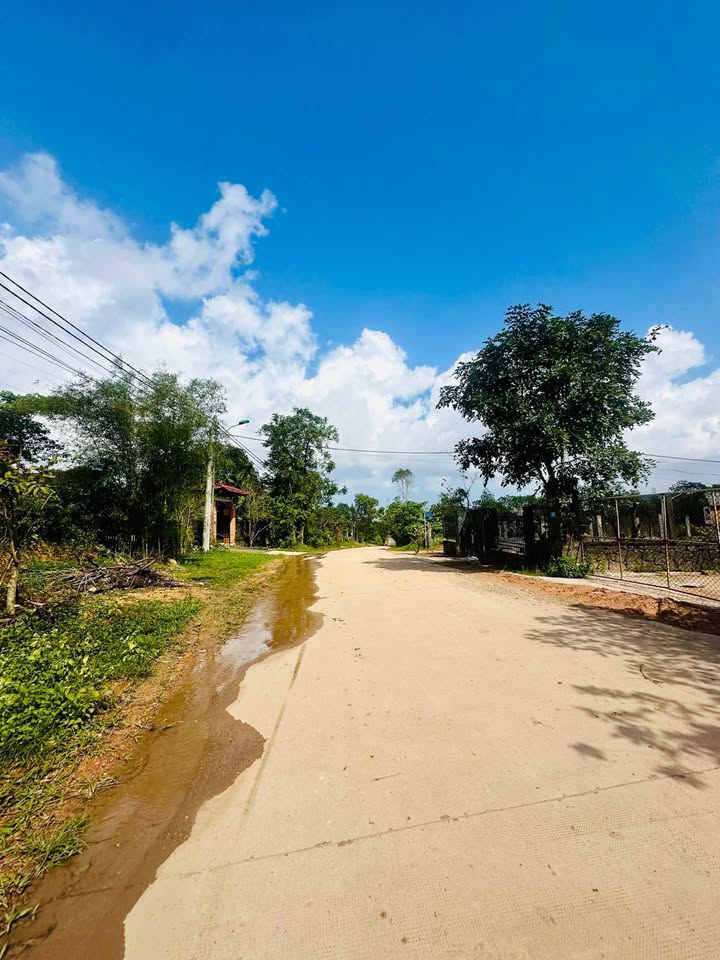 Đất nền mặt tiền Tôn Thất Sơn, Thủy Phương, 95m² chỉ 900 triệu - Cơ hội đầu tư hấp dẫn!